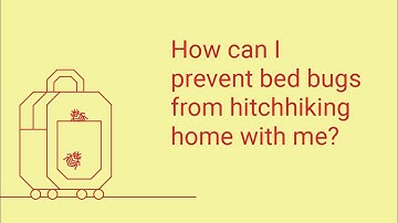 How Can I Prevent Bed Bugs from Hitchhiking into My Home?