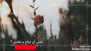 حالات واتس آب ❤️ {سورة السجدة} ❤️ القارئ عبدالرحمن مسعد❤️