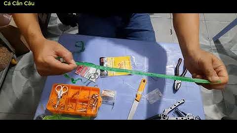 Cách Làm Thẻo Câu Cá Chim Không Bị Đứt