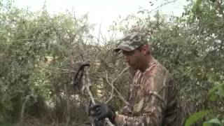 Dove bow hunting