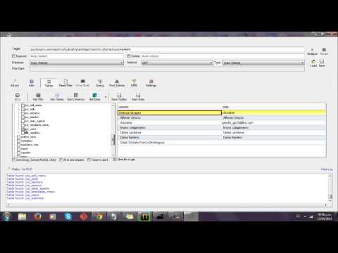 Sql Injection con Havij - Windows