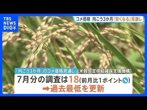 コメ価格 向こう3か月「安くなる」見通し強まる 指数は過去最低に　｜TBS NEWS DIG