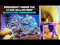 EMERGENCY! WE WENT 15 FEET UNDER THE 17,000 GALLON REEF TANK TO FIX IT!
