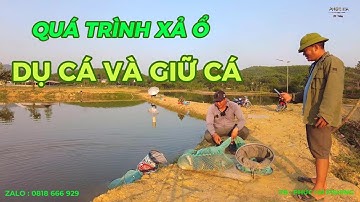 CUỐN Ổ TRONG NGÀY CÁ CHẬM ĂN - KỸ THUẬT XẢ MỒI , KÉO CÁ VÀ GIỮ Ổ TRONG 1 BUỔI CÂU - PHÚC HÀ FISHING