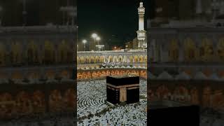 #Molla molla molla#ye kabay ki ronaq ye kabay ka manzar#youtubeshorts #viralvideo