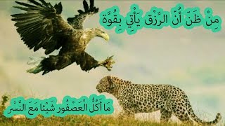 ابتهال للمنشد فايز الحلو * قصيدة للامام الشافعي * مؤثرة I Anashid I