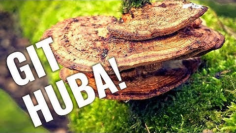 Czym jest GIT 🔥 πroman #2 🔥 hello roman