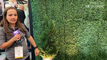 CEDIA Expo 22: Colorbeam Lighting Showcases New Line of Tuneable Outdoor Spotlights