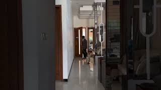 Kinara Mau Ikut Kerja Papahe