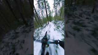 Dodging Trees In Snow!