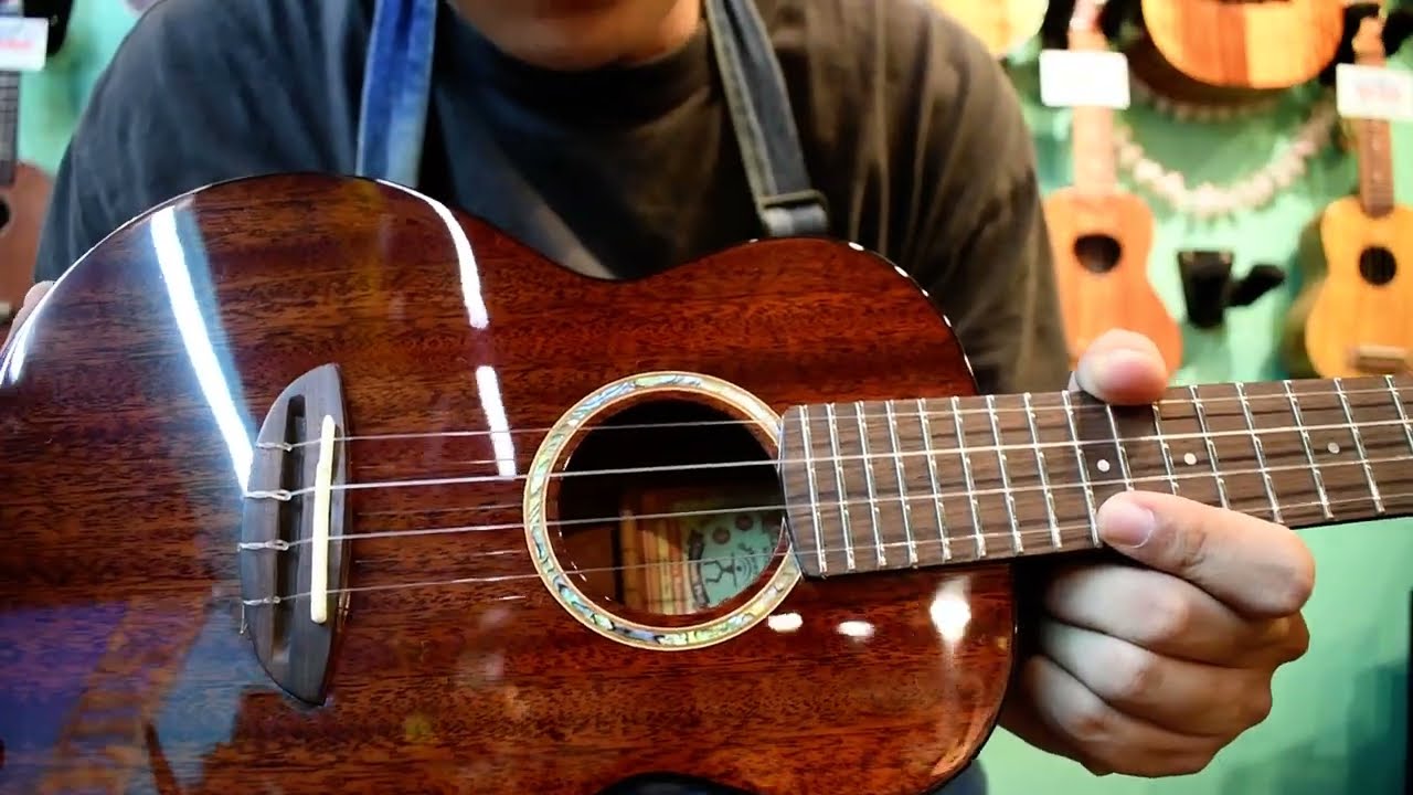 NEW/aNueNue AMM2 Concert [Ochanomizu Store] @ukuleleshoptantan