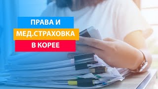 Как сделать получить медицинскую страховку и права в Корее?