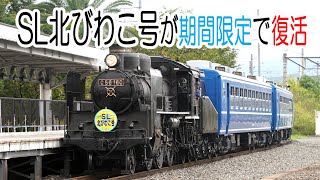 「SL北びわこ号」が期間限定で復活