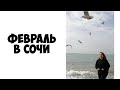 Февраль в Сочи. Пляж Сочи. Чем заняться в Сочи зимой. Зима в Сочи. Сочи сегодня #Shorts