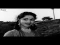 Teri Pyari Pyari Surat - Mohammed Rafi | Popular Hindi Song | Sasural 1961 Song | Rajendra Kumar Mp3 Song