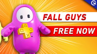 Fall guys released on ps4 this morning and for everybody with ps plus,
the game is free to download entirety of august. else, ...