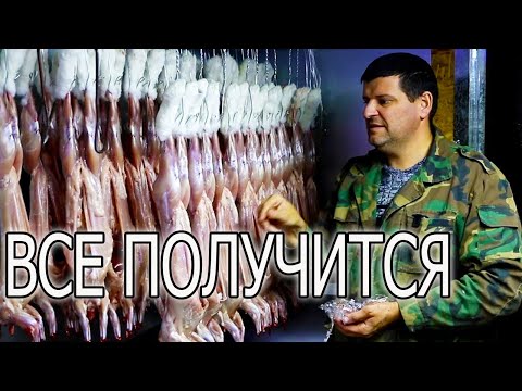 Забой кроликов в домашних условиях для начинающих видео