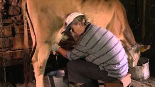 Montenegro Traditional Food