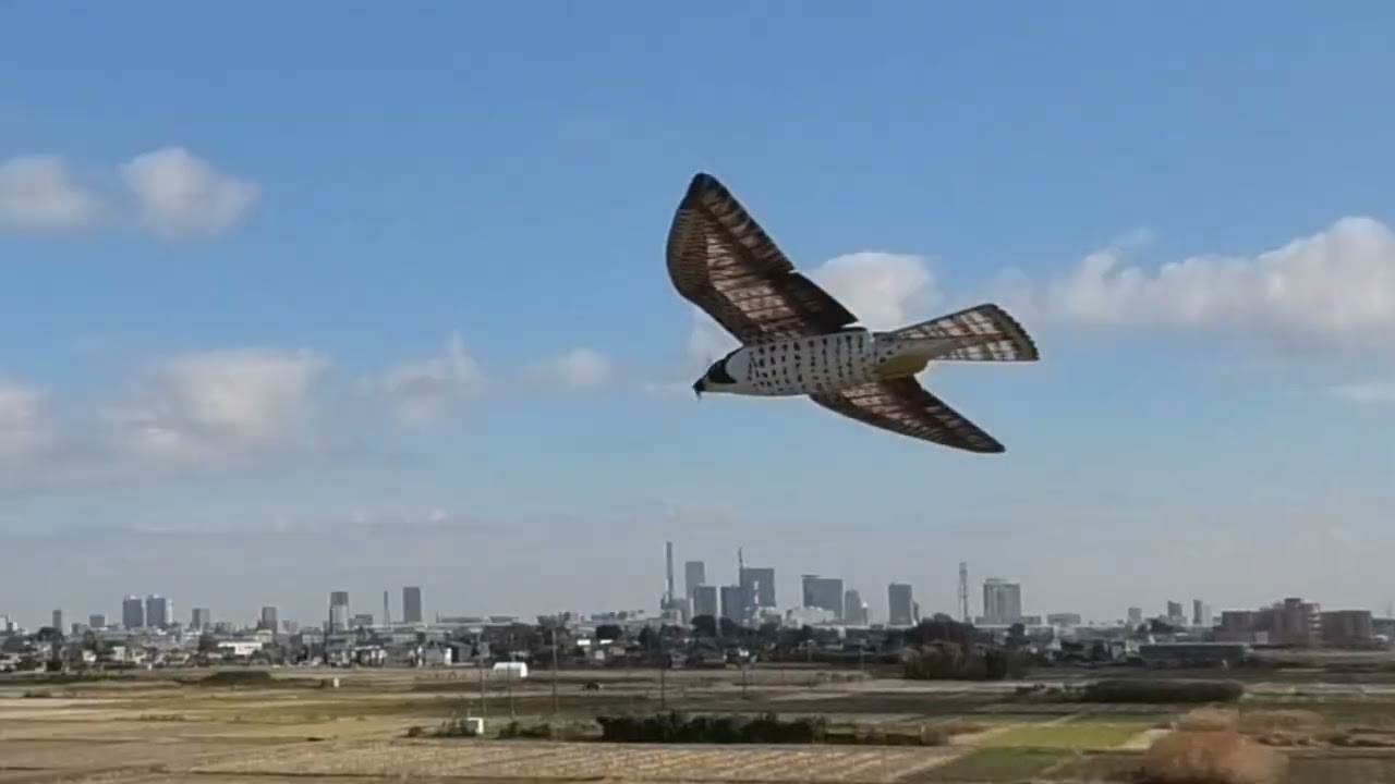 無垂直尾翼：ハヤブサ　何回も修理が必要になりましたが、PICマイコンのプログラムの改良により基本飛行を行うことができました。