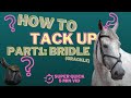 HOW TO TACK UP A HORSE - Part one - Grackle Bridle - ft. Amber Major