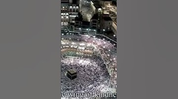 ( وتوكل على العزيز الرحيم) تلاوة جميلة تملأ قلبك راحة وطمأنينة ~ ماهر المعيقلي ~ الحرم المكي.