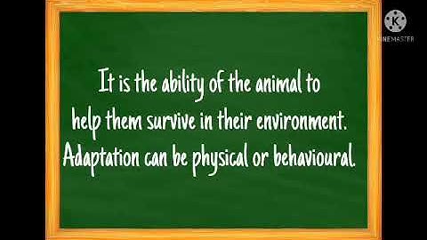 MEP Primary Science 5 Animal Adaptations