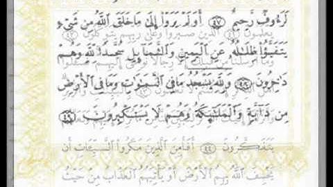 تلاوة نادرة للشيخ عبد الرزاق الشرقاوي من صلاة التراويح