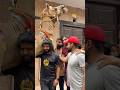 Last sad moments💔🥹chor gya shairo💔🥲 #love #song #petlover #bakr #ytshorts #cow #camel #pets
