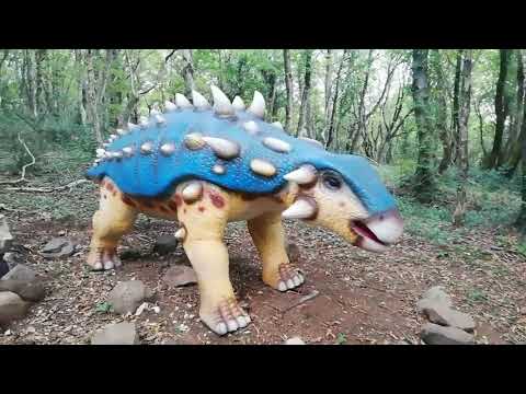 ახალი ბინადრები სათაფლიის ნაკრძალში