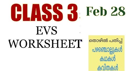 Class 3 Evs worksheet feb 28|kite |victers worksheet |3 class evs February 28 work|victers 3