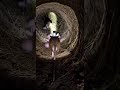 Mother Mouse POV Underground Nest 🐭 #wildlife #nature#shorts  #microcamera #youtubeshorts