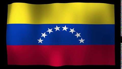 Venezuela Flag 4K Loop Video