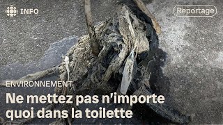 Une toilette, ce n’est pas une poubelle