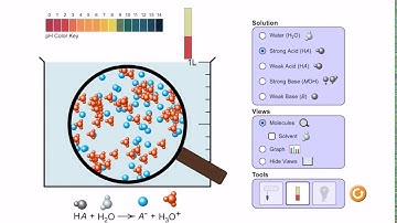 Acid Base Solutions pHet simulation
