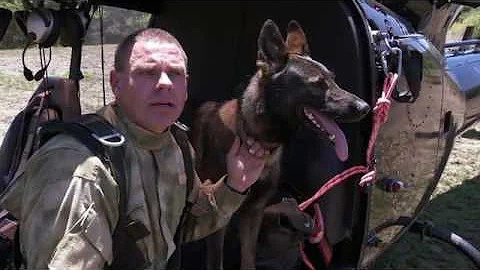Paramount Anti Poaching Dogs