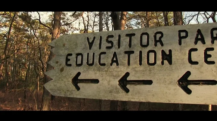 Cedar Run: A Documentary by Shannon Lambert