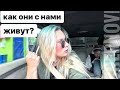 ЛЮБИТ МЕНЯ? поехали снимать видео! Готовим перцы, котлеты и пюре, ЭТО КТО ТО УЖЕ ТРОГАЛ!