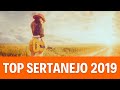 Top Sertanejo 🤠 Músicas Sertanejas 2019