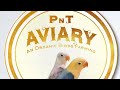 Love Birds -PnT Aviary Set up