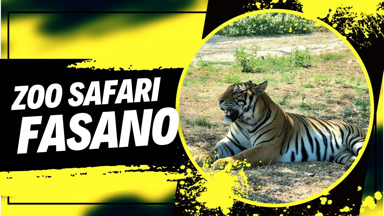 www zoo safari fasano