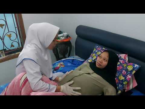 Video: Perawatan Kehamilan: Gambaran Umum, Perawatan Prenatal & Pascanatal