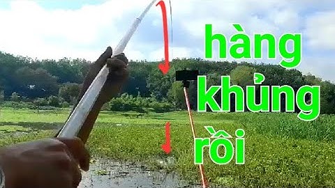 câu cá sặc rằn, điểm câu đẹp cần thủ đông như đi lễ hội