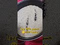 حريرة ايلان او حبوب الدخن ماكلة ودوا وجبيرة لعضم حريرة ايلان او حبوب الدخن ماكلة ودوا وجبيرة لعضم