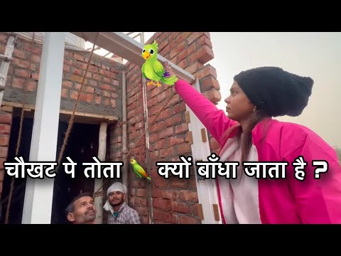 तोता 🦜 बँधाई