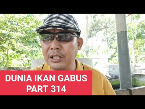 PART 314 SUWANDI MENJAWAB.APAKAH PROGRAM KEMITRAAN SAAT INI MASIH ADA