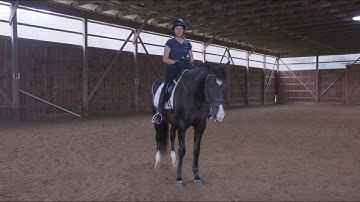 Lesson 4: How to Teach your horse to follow rein pressure and move away from leg pressure.