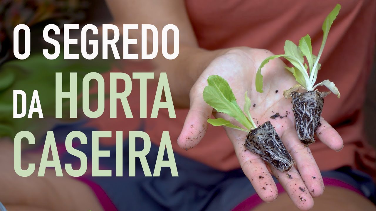 Como FAZER uma HORTA em VASO SEM ERRAR na hora de escolher ONDE PLANTAR, image size:1280x720