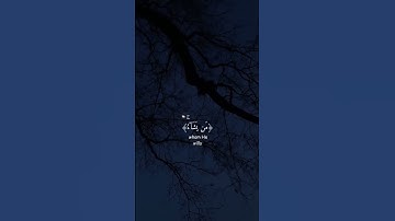 القارئ شريف مصطفى (نور على نور)