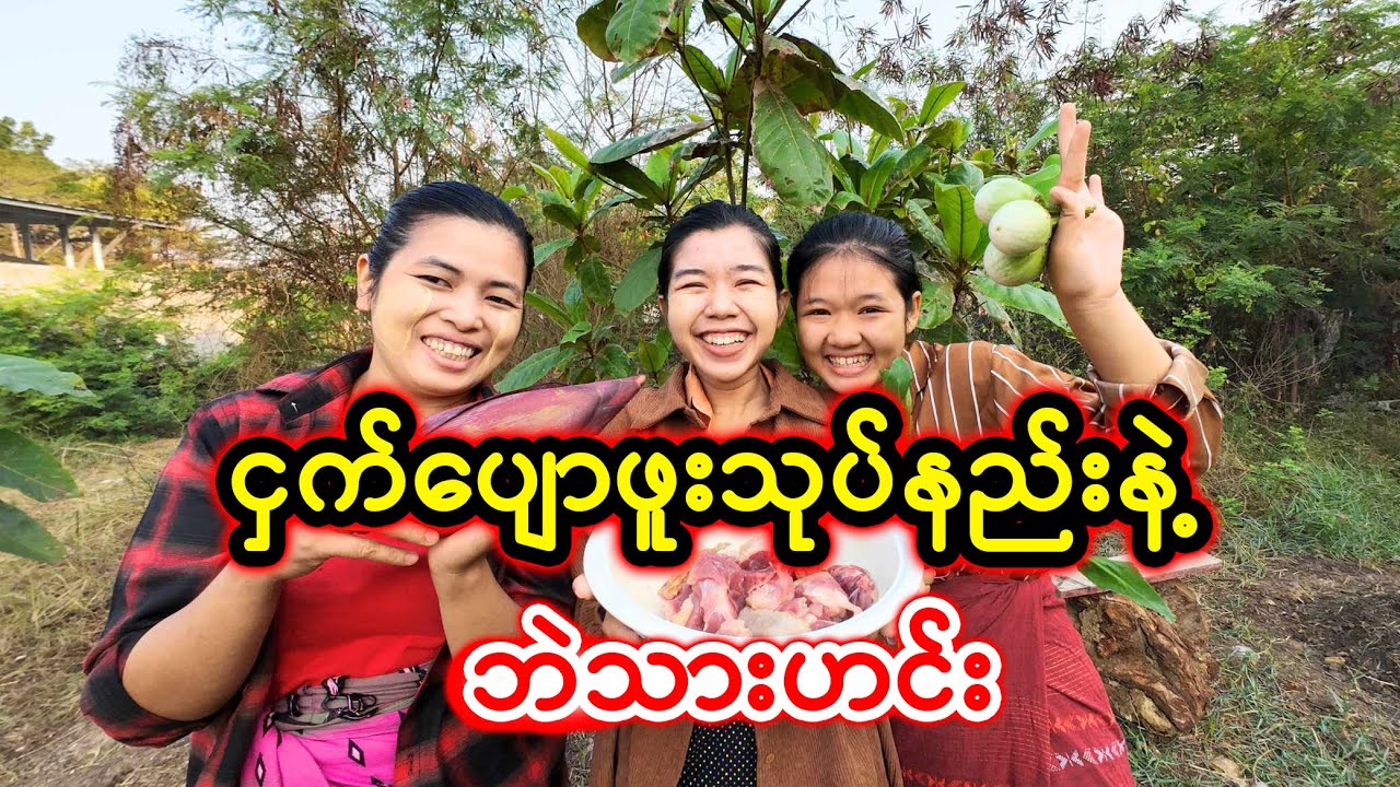 ငှက်ပျောဖူးသုပ်နည်းနဲ့ဘဲသားဟင်း (Taw Thu Ma)