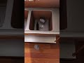 Aufräumen Teil 1 | Cooking Simulator #memes #simulator #funny #games #gaming